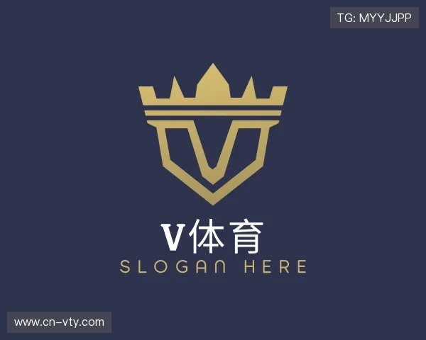 关于V体育官方网站